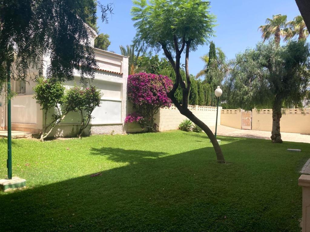 Apartamento Con Piscina Y Parking El Campello Exterior photo